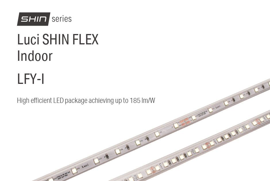 SHIN FLEX