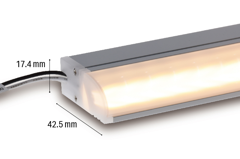 Luci SHIN Creide lens