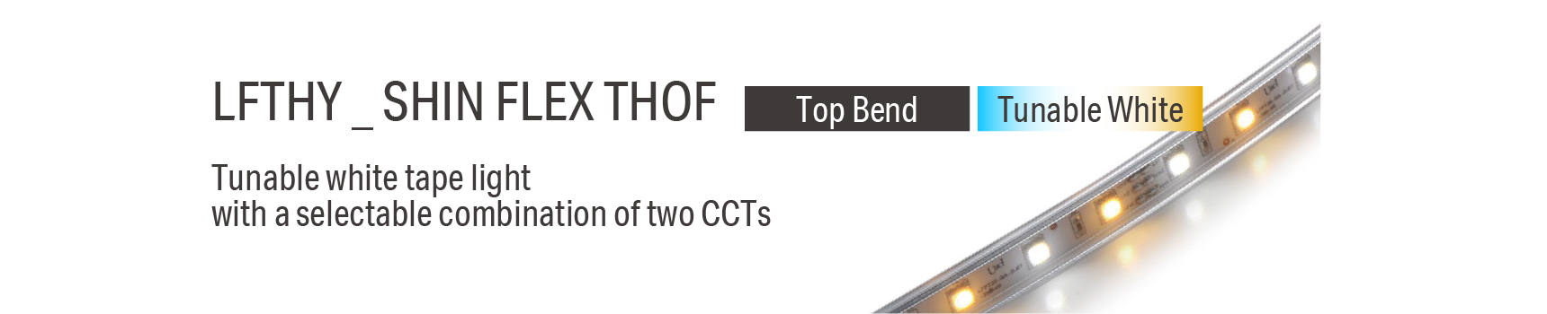 LFTHY _ SHIN FLEX THOF Tunable white tape light with a selectable combination of two CCTs