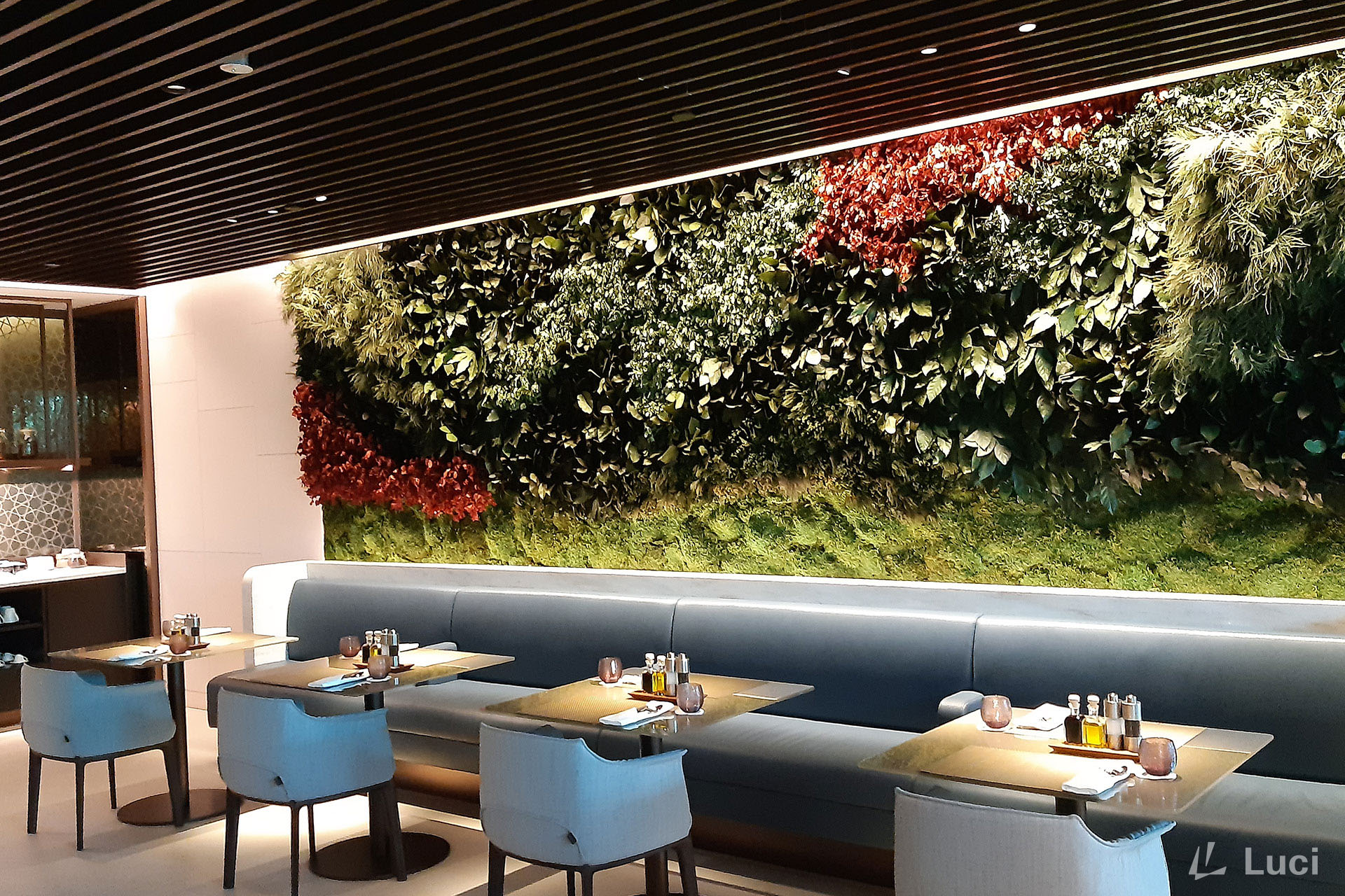 Qatar Airways Lounge A&A (T1)