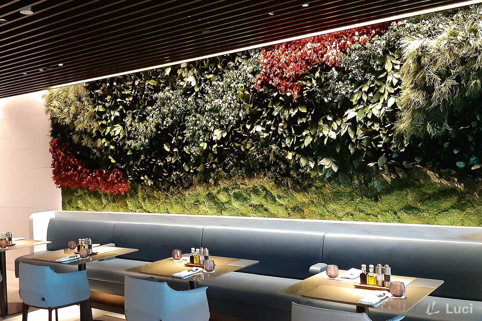 Qatar Airways Lounge A&A (T1)