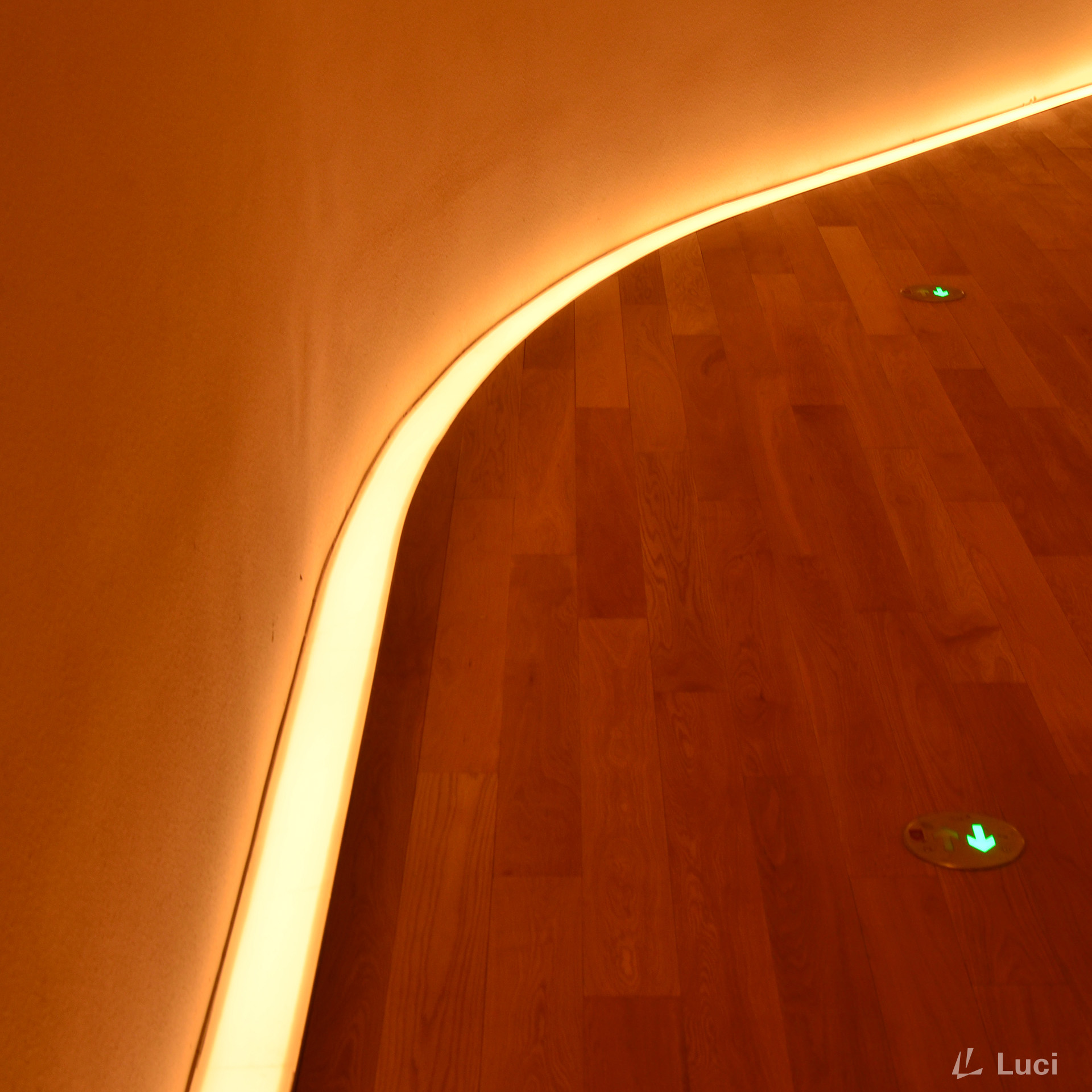 Shanghai Symphony Orchestra Hall