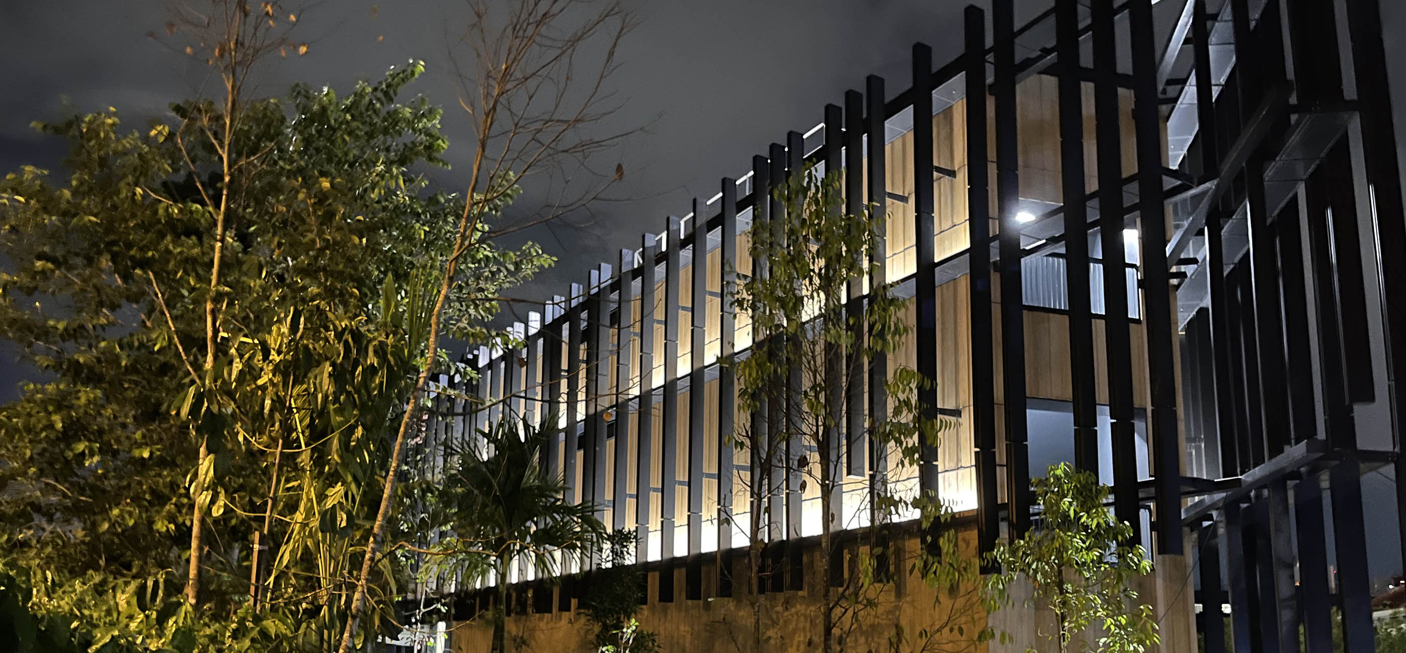 SMU Law Faculty