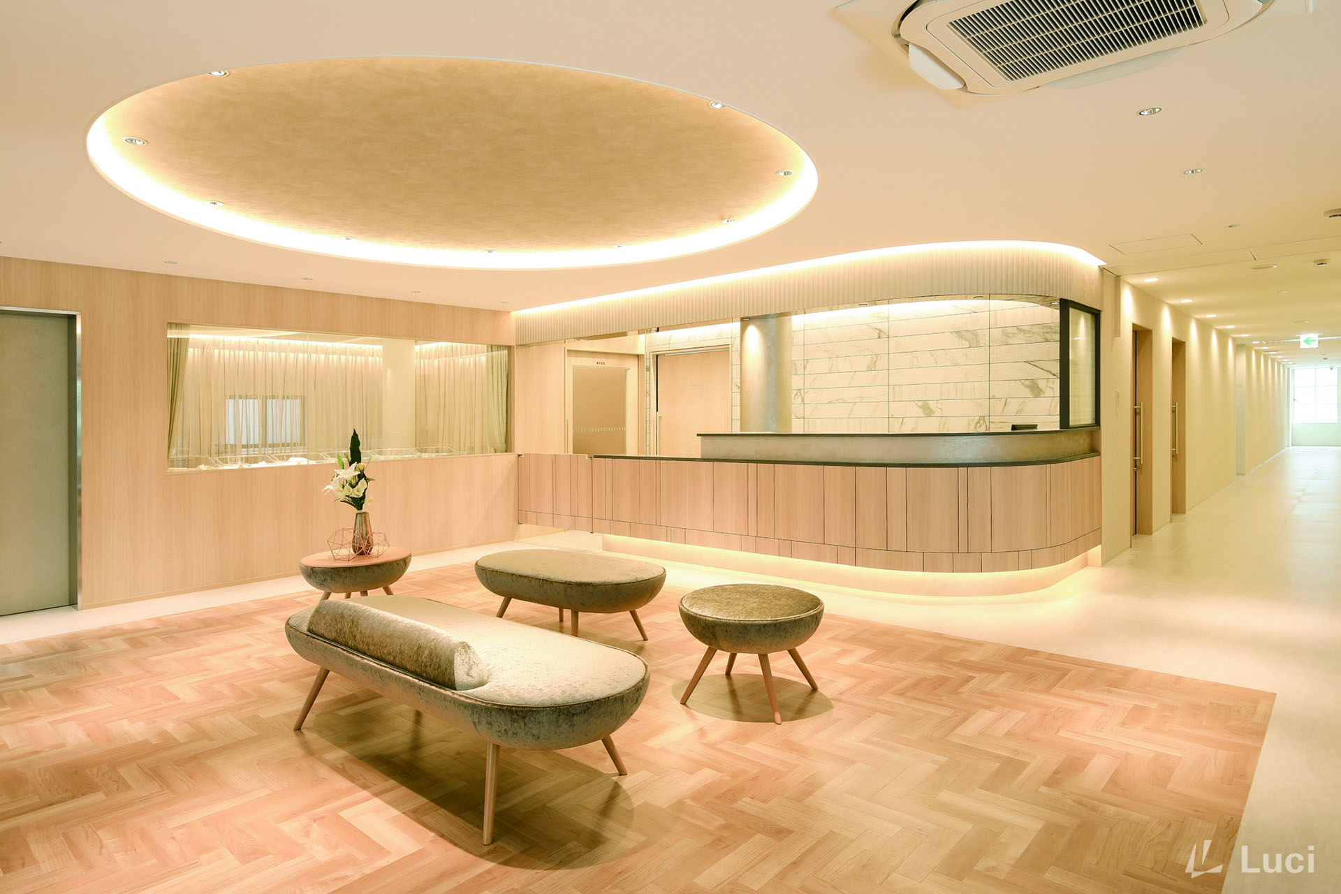 SWAN LADIES CLINIC