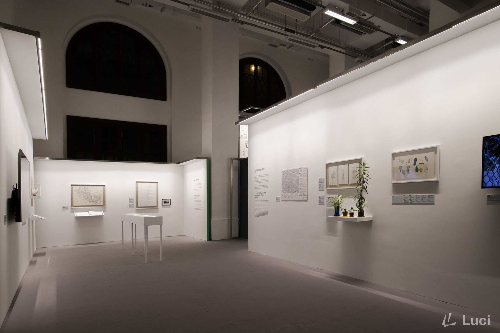 Tai Kwun summer exhibition