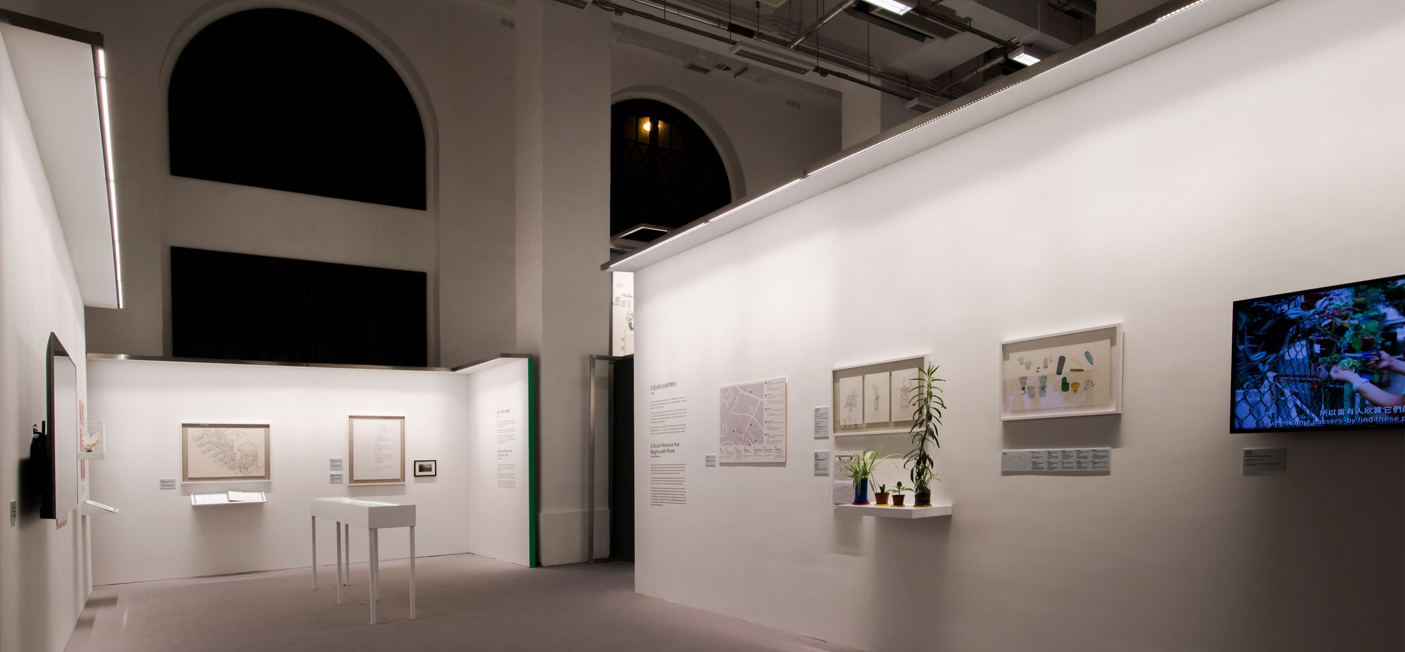 Tai Kwun summer exhibition