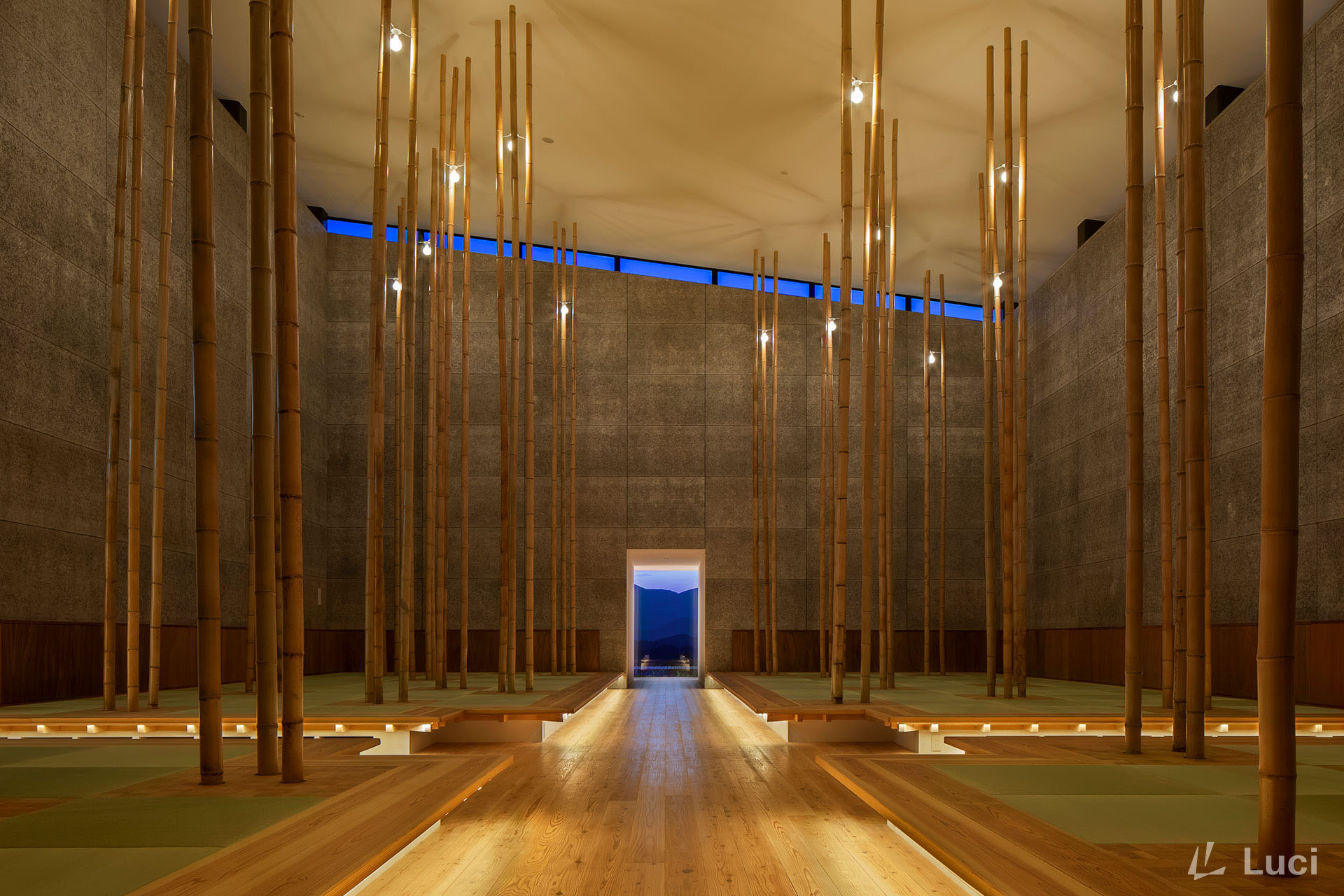 VISON HONZO SPA
